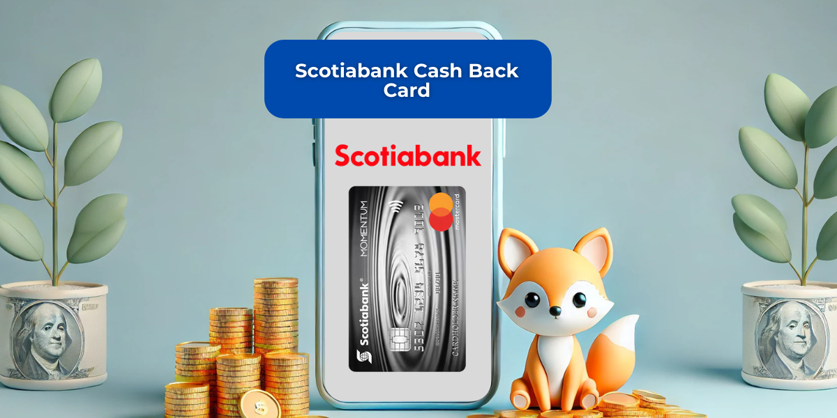 Scotiabank Cash Back Card: See everything you need to know